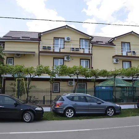 Vila Petruta Costinesti